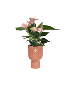 Elho Vaso Vibes Fold Coupe 14 cm Colore Rosa - Fioriera Interno Design Moderno