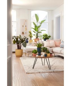 Elho Vaso Vibes Fold Coupe 14 cm Colore Rosa - Fioriera Interno Design Moderno