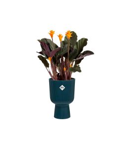 Elho Vaso Vibes Fold Coupe 14 cm Colore Deep Blue - Fioriera Rotonda Interna