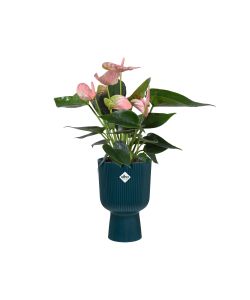 Elho Vaso Vibes Fold Coupe 14 cm Colore Deep Blue - Fioriera Rotonda Interna