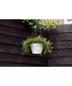 Vaso vibia campana hanging 26cm