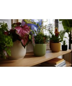 Elho Vaso Vibes Fold Rotondo Verde Sorbetto � 16 cm per Piante Interni