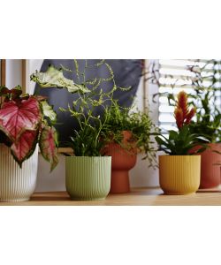 Elho Vaso Vibes Fold Rotondo Verde Sorbetto � 16 cm per Piante Interni