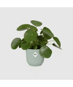 Elho Vaso Vibes Fold Rotondo Verde Sorbetto � 16 cm per Piante Interni