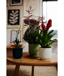 Elho Vaso Vibes Fold Rotondo Verde Sorbetto � 18 cm H 16.8 cm