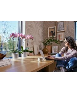 Elho Vaso Vibes Fold Orchid Trasparente 12,5cm per Orchidee Indoor