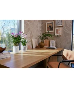 Elho Vaso Vibes Fold Orchid Trasparente 12,5cm per Orchidee Indoor