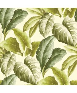 DUTCH WALLCOVERINGS Carta da Parati Foglie Tropicali Verde e Bianco