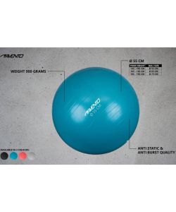 Avento Palla per Fitness/Palestra Diametro 55 cm Blu