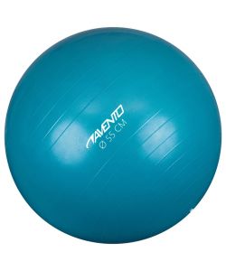 Avento Palla per Fitness/Palestra Diametro 55 cm Blu