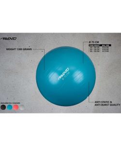 Avento Palla per Fitness/Palestra Diametro 75 cm Argento