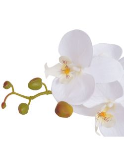 Orchidea Artificiale con Vaso75 cm Bianca