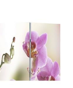 vidaXL Paravento Pieghevole 120x170 cm Stampa Fiore Multicolore - Separ Decorativo per Casa