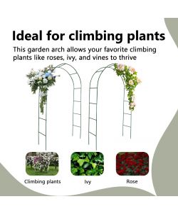 vidaXL Archi da Giardino per Piante Rampicanti - Verde - 2 pz