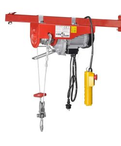 Sollevatore Elettrico 1000 W 200/400 kg