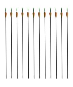 Frecce Standard per Archi Ricurvi 12 pz 76,2/0,6 cm Fibra Vetro