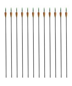 Frecce Standard per Archi Ricurvi 12 pz 76,2/0,6 cm Fibra Vetro