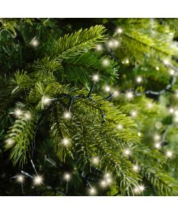 Lumineo Catena Luminosa Compact  1000 LED Bianco Caldo 22,5m Verde