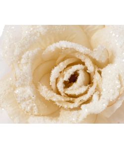 Clip rosa  innevata 12xh5 cm