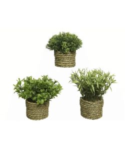 Pianta Artificiale Verde in Vaso Intrecciato d.16x13cm