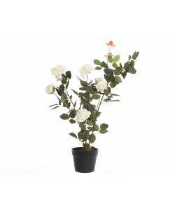 Rose bianche artificiali in vaso