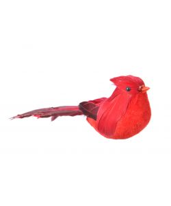 Uccellino rosso decorativo