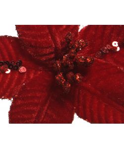 Clip Stella di Natale 20x10 cm colori  assortiti