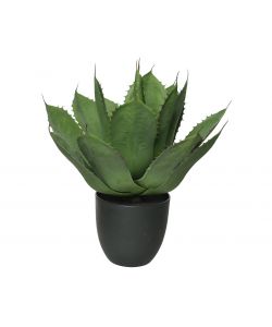 Agave artificiale