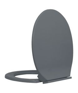 Tavoletta WC a Chiusura Ammortizzata Grigio Ovale
