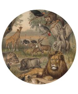WallArt Carta da Parati Circolare Animals of Africa 142,5 cm