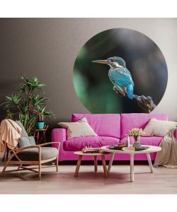 WallArt Cerchio Carta da Parati The Kingfisher 142,5 cm