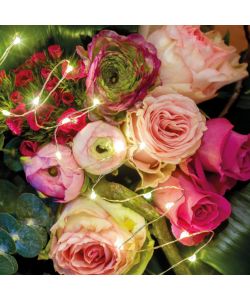 Lumineo Ghirlanda Luminosa LED Argento - Luce Bianca Calda - 295 cm