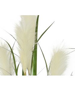 Pianta artificiale Pampas Grass 130h