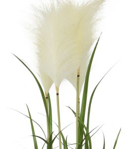 Pianta artificiale Pampas Grass con fiori bianchi