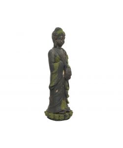 Statua intera Buddah