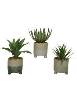 Pianta artificiale Succulent in vaso H 20Cm Tipologie Assortite