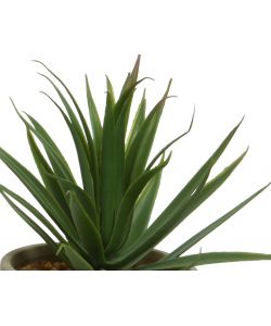Pianta artificiale Succulent in vaso H 20Cm Tipologie Assortite