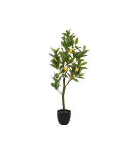 Pianta di Limone Artificiale