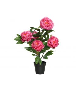 Peonia artificiale