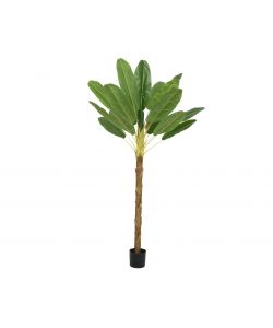 Pianta Banano Artificiale H 280