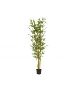 Bamboo Artificiale in Vaso