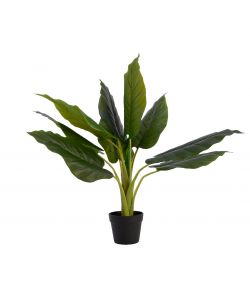 Pianta Strelitzia Artificiale H 80 Cm