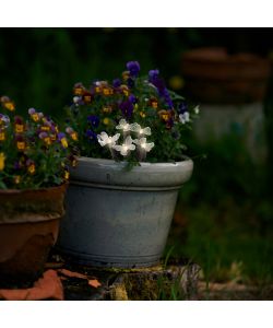 Paletti solari segnapasso solari Fiore