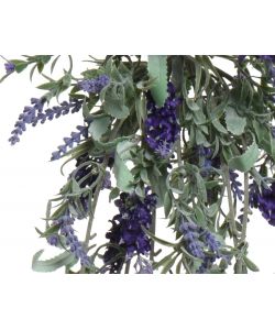Lavanda da appendere colori assortiti