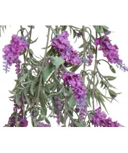 Lavanda da appendere colori assortiti