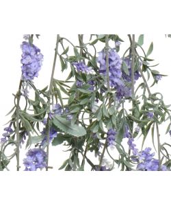 Lavanda da appendere colori assortiti