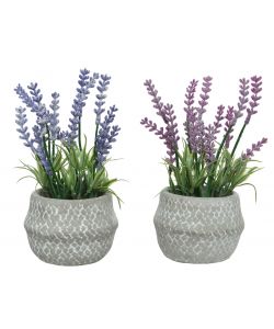 Lavanda artificiale vaso cemento 7x7x h18cm Colori assortiti