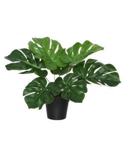 Pianta Monstera artificiale