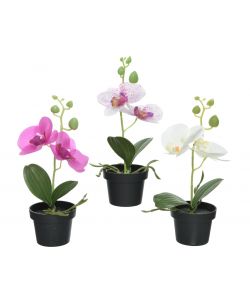Orchidea Artificiale in vaso