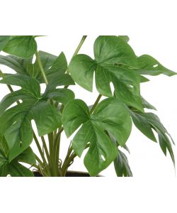 Pianta Monstera Artificiale H 28 Cm